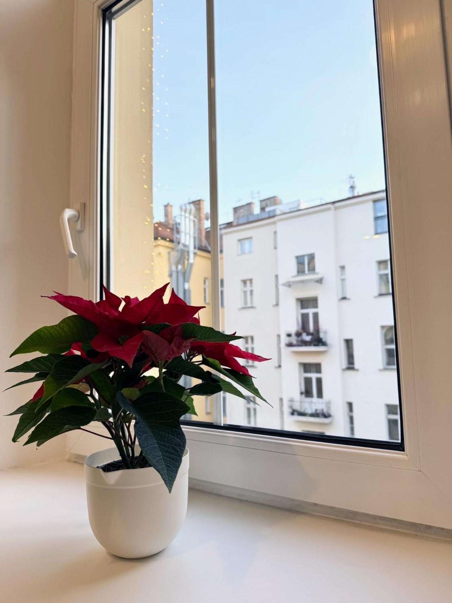 Apartment By Charles Bridge — Photos 2
